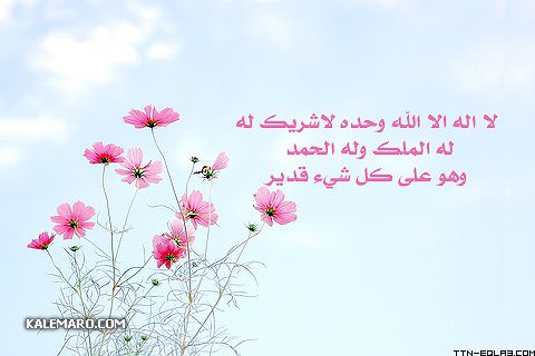 بالصور حالات واتس اب قصيره وجميله