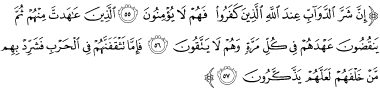 تفسير ان شر الدواب عند الله الصم البكم الذين لايعقلون