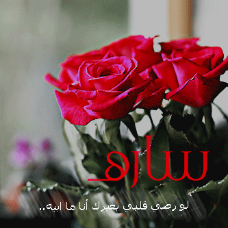 شعر عن سارة