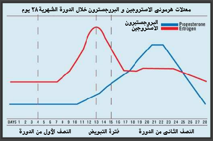 الفرق بين الاستروجين والبروجسترون