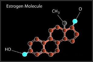 هرمون oestradiol