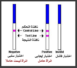 جهاز الحمل 20160818 421