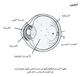 علاج الاجسام الطافية في العين بالاعشاب 20160819 5697