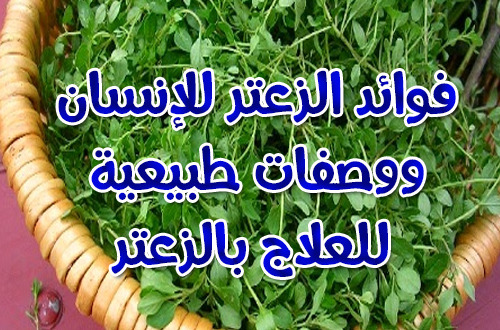 ما هي فوائد الزعتر 20160818 5955 1