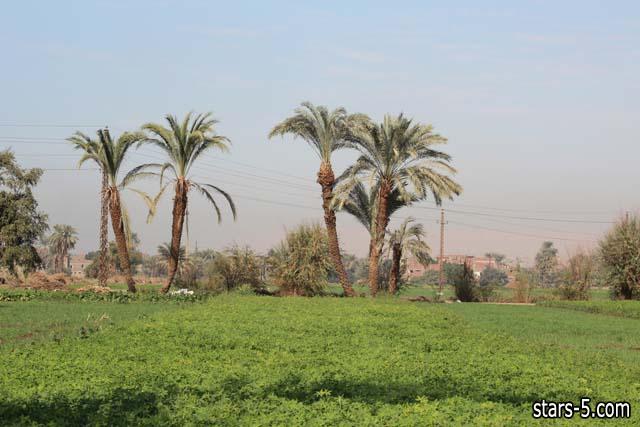 صور للريف المصري 20160819 109