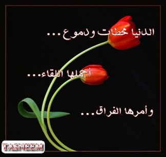 شعر رومانسي جدا