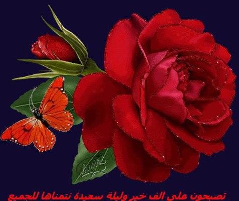 كلمات تصبحون على خير مزخرفه 20160819 3888