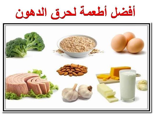 اكلات تحرق الدهون بالجسم