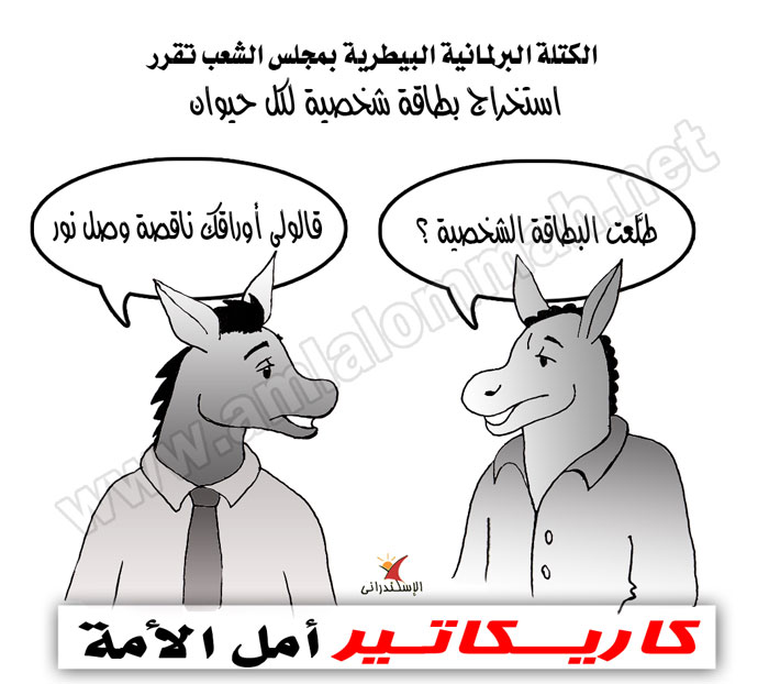 بالصور كاريكاتير حيوانات