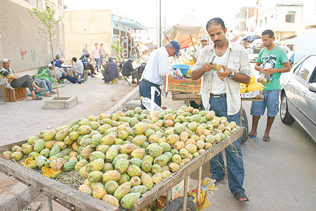 فراشة مغربية