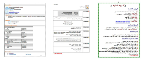 بالصور افضل صيغة للسيرة الذاتية