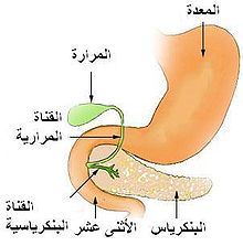 علاج سرطان البنكرياس بالاعشاب