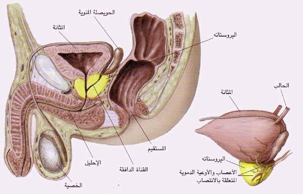 مرض البروستاتا