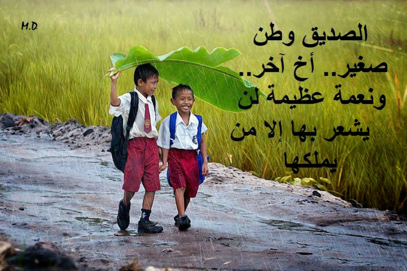 صور الصداقة