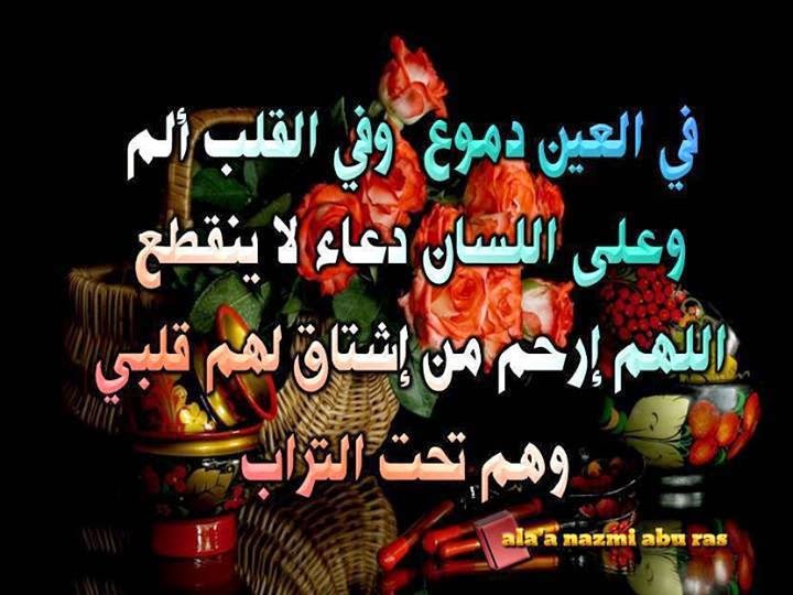 صور عن اضلم