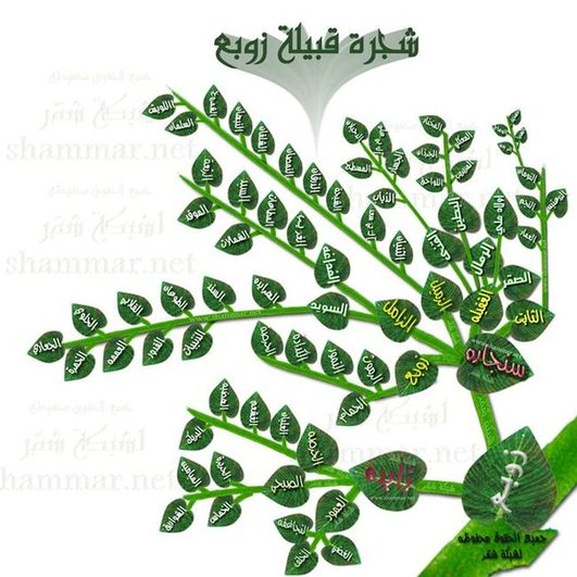 فخوذ شمر