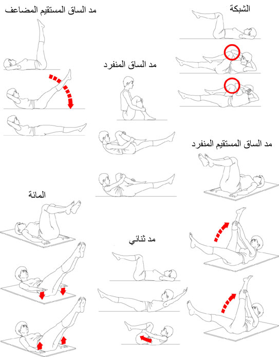 تمارين تخسيس الارداف والمؤخرة للرجال 20160818 801