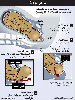 ماهي اعراض الولاده