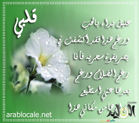 بالصور اشعار عن الحب