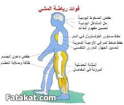 ما هي الارداف 20160820 1471