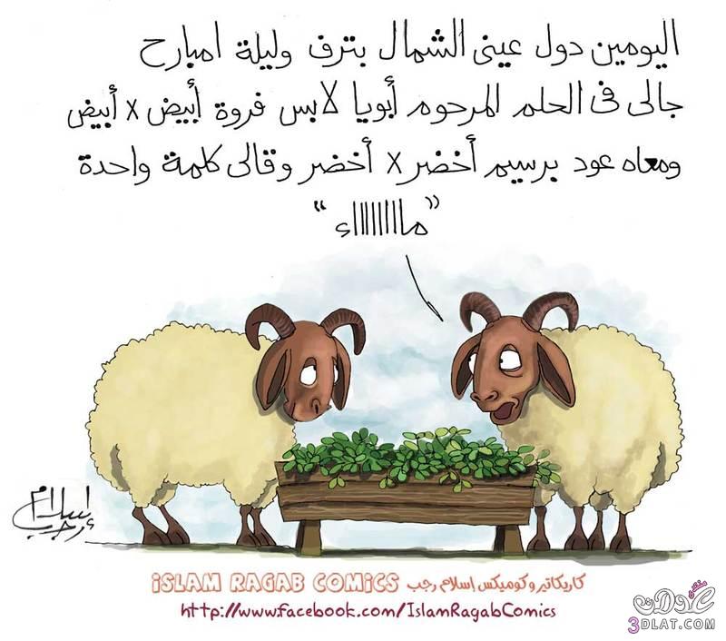 بالصور كاريكاتير العيد