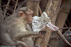 بالصور صوره يقرا الجريدة