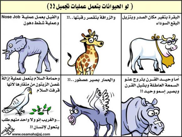 بالصور كاريكاتير حيوانات