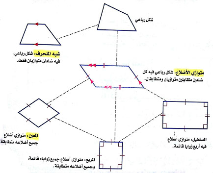 بحث عن الاشكال الرباعية