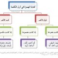 بالصور كتابة الهمزة في اللغة العربية