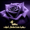 20160819 4100 1 دلالات الوان الورود ممتاز وائل