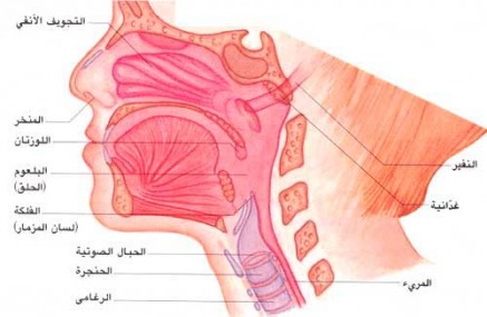 التهاب البلعوم المزمن