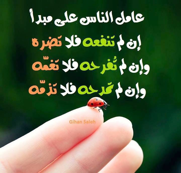 اروع الصور والكلمات