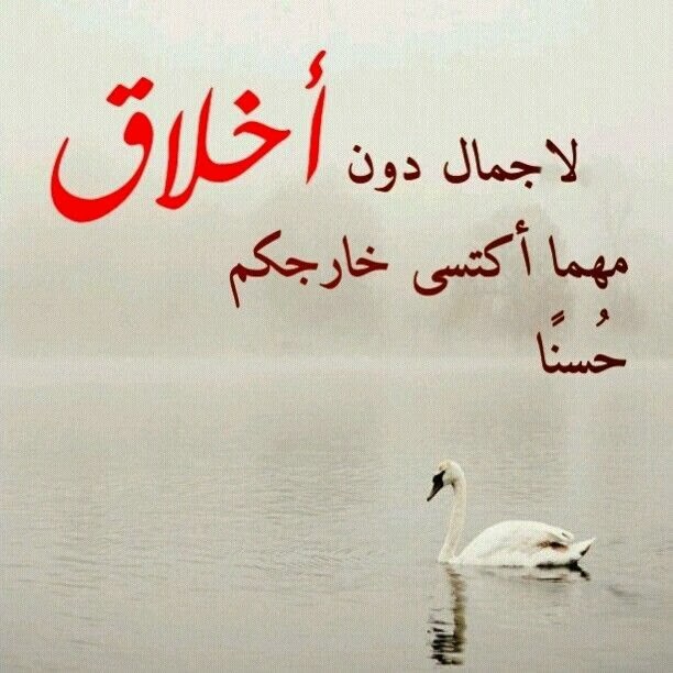 صور مع عبارات